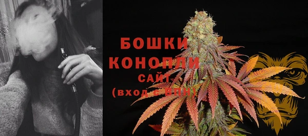 прущий лед Белокуриха