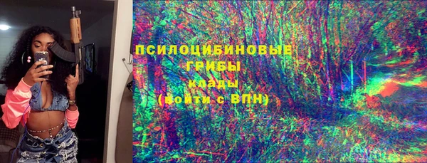 прущий лед Белокуриха